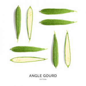 Seamless pattern with angle grourd. Abstract background. Calabash on the white background.