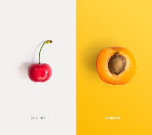 Creative layout made of cherry and apricot. Flat lay. Food concept.