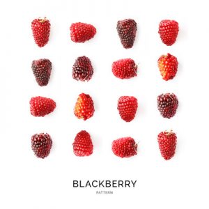 Seamless pattern with blackberry. Fruits abstract background. Blackberry on the white background.