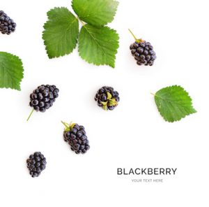 Creative layout made of blackberry with leaves on the white background. Flat lay. Food concept.