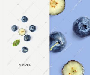 Creative layout made of blueberry. Flat lay. Food concept. Macro concept.