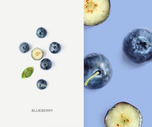 Creative layout made of blueberry. Flat lay. Food concept. Macro concept.