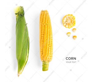 Creative layout made of corn. Flat lay. Food concept.