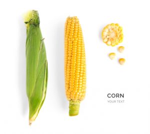 Creative layout made of corn. Flat lay. Food concept.