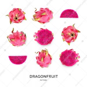 Seamless pattern with dragonfruit on the white background. Abstract background. Pitaya on the white background.