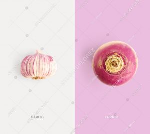 Creative layout made of turnip and garlic. Flat lay. Food concept. Macro  concept.