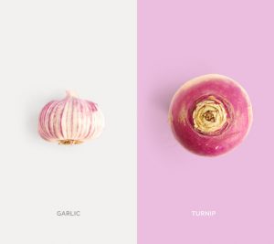 Creative layout made of turnip and garlic. Flat lay. Food concept. Macro  concept.