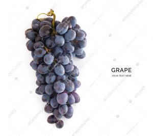 Creative layout made of blue grape on the white background. Flat lay. Food concept.