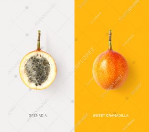 Creative layout made of sweet granadilla fruit. Tropical flat lay. Food concept.