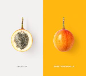 Creative layout made of sweet granadilla fruit. Tropical flat lay. Food concept.