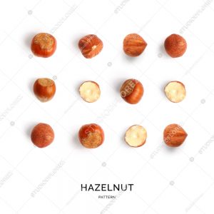 Abstract background. Hazelnut on the white background.
