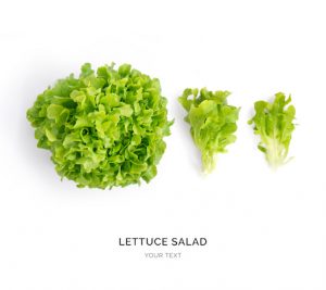 Creative layout made of lettuce salad on the white background. Flat lay. Food concept.