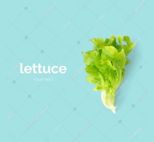 Creative layout made of lettuce. Flat lay. Food concept.