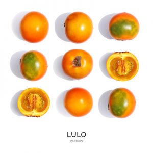 Seamless pattern with lulo. Abstract background. Lulo on the white background.