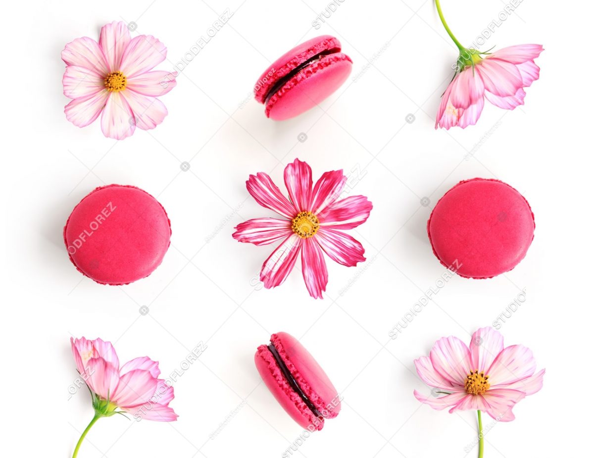 macaroons_flowers_pink_white_sweets