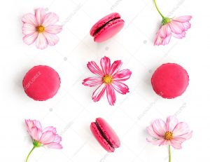 Creative layout made of pink flowers and macaroons isolated on white background. Flat lay. Food concept.