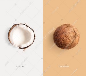 Creative layout made of coconut. Flat lay. Food concept. Macro  concept.