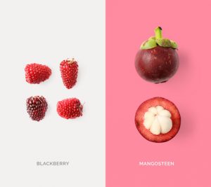 Creative layout made of mangosteen and blackberry. Flat lay. Food concept. Macro  concept.