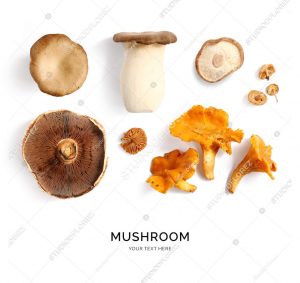 Creative layout made of mushrooms on white background. Flat lay. Food concept.