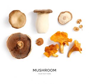 Creative layout made of mushrooms on white background. Flat lay. Food concept.