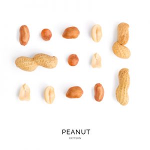 Seamless pattern with peanut. Abstract background. Peanut on the white background.