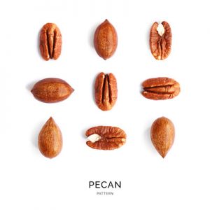 Seamless pattern with pecan. Abstract background. Pecan on the white background.