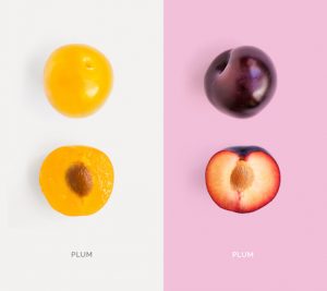 Creative layout made of plum. Flat lay. Food concept.