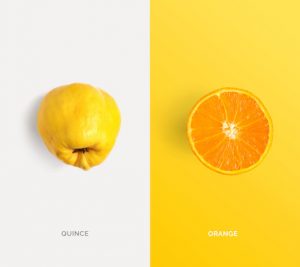 Creative layout made of quince and orange. Flat lay. Food concept. Macro  concept.