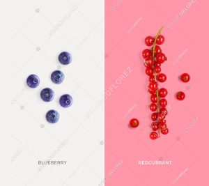 Creative layout made of redcurrant and blueberry. Flat lay. Food concept.