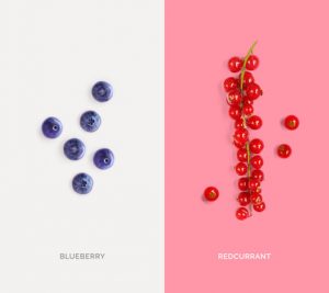 Creative layout made of redcurrant and blueberry. Flat lay. Food concept.