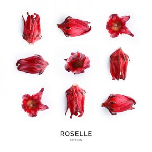 Seamless pattern with roselle on the white background.. Flat lay. Food concept.