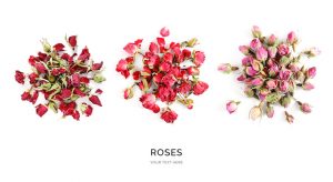 Creative layout made of roses isolated on white background. Flat lay. Food concept.