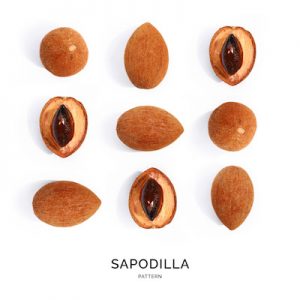 Seamless pattern with sapodilla. Abstract background. Sapodilla on the white background.