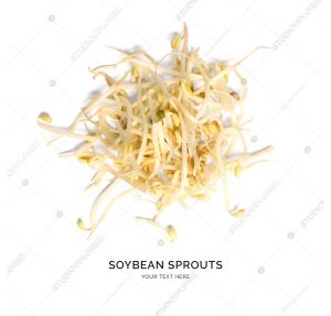 Creative layout made of soya bean sprouts on the white background. Flat lay. Food concept.