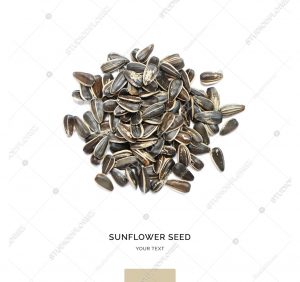 Creative layout made of sunflower seeds on white background. Flat lay. Food concept.