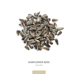 Creative layout made of sunflower seeds on white background. Flat lay. Food concept.
