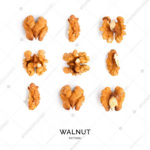 Seamless pattern with walnut. Abstract background. Walnut on the white background.