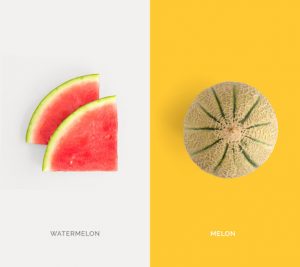 Creative layout made of watermelon and melon. Flat lay. Food concept.